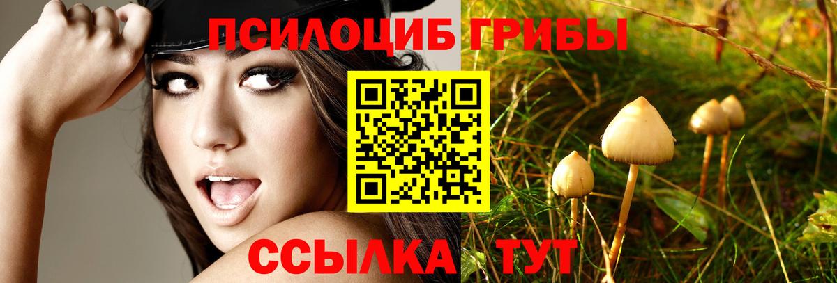 Галлюциногенные грибы прущие грибы Майкоп